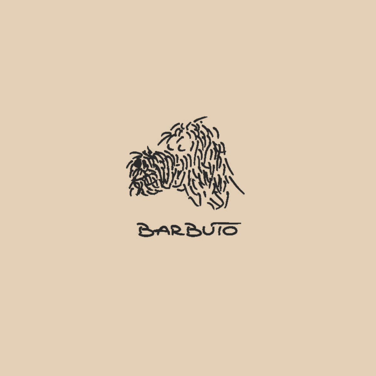 Barbuto cover